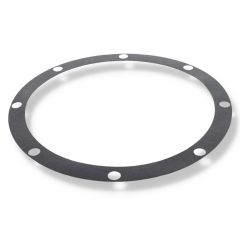 C20-46 Adapter Gasket for Pentair Sta-Rite Pumps